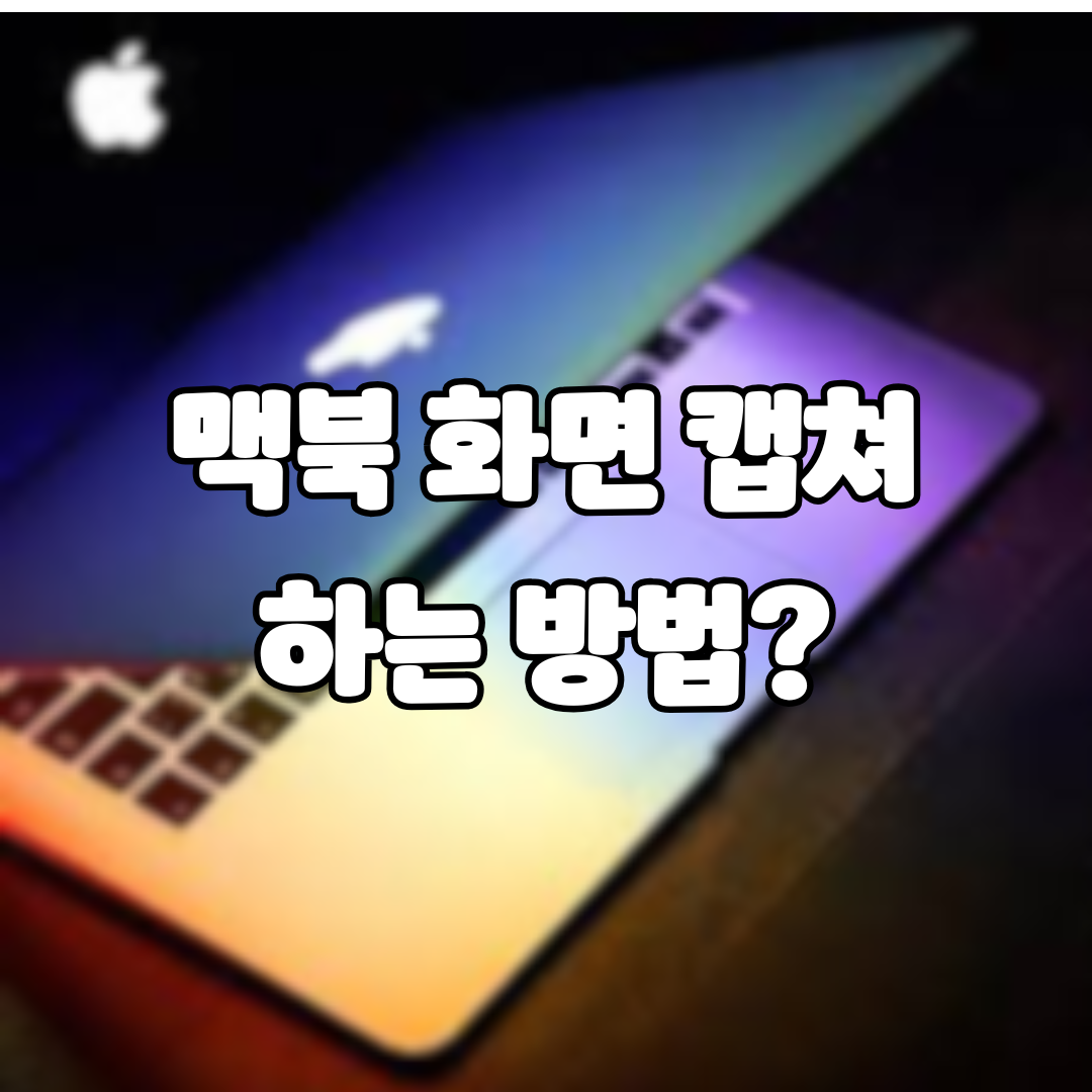 맥북 화면 캡쳐 하는 방법 - 히든도그