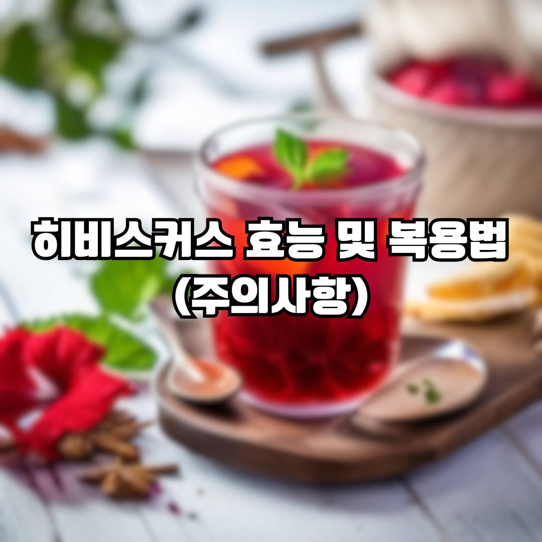 히비스커스 효능 및 복용법