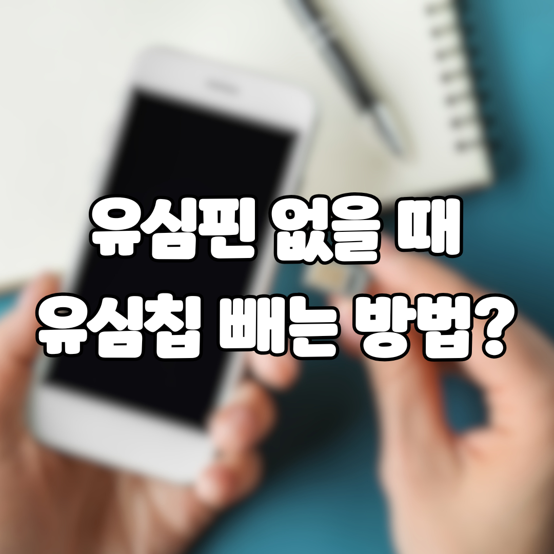 휴대폰 유심핀 없을 때 - 히든도그