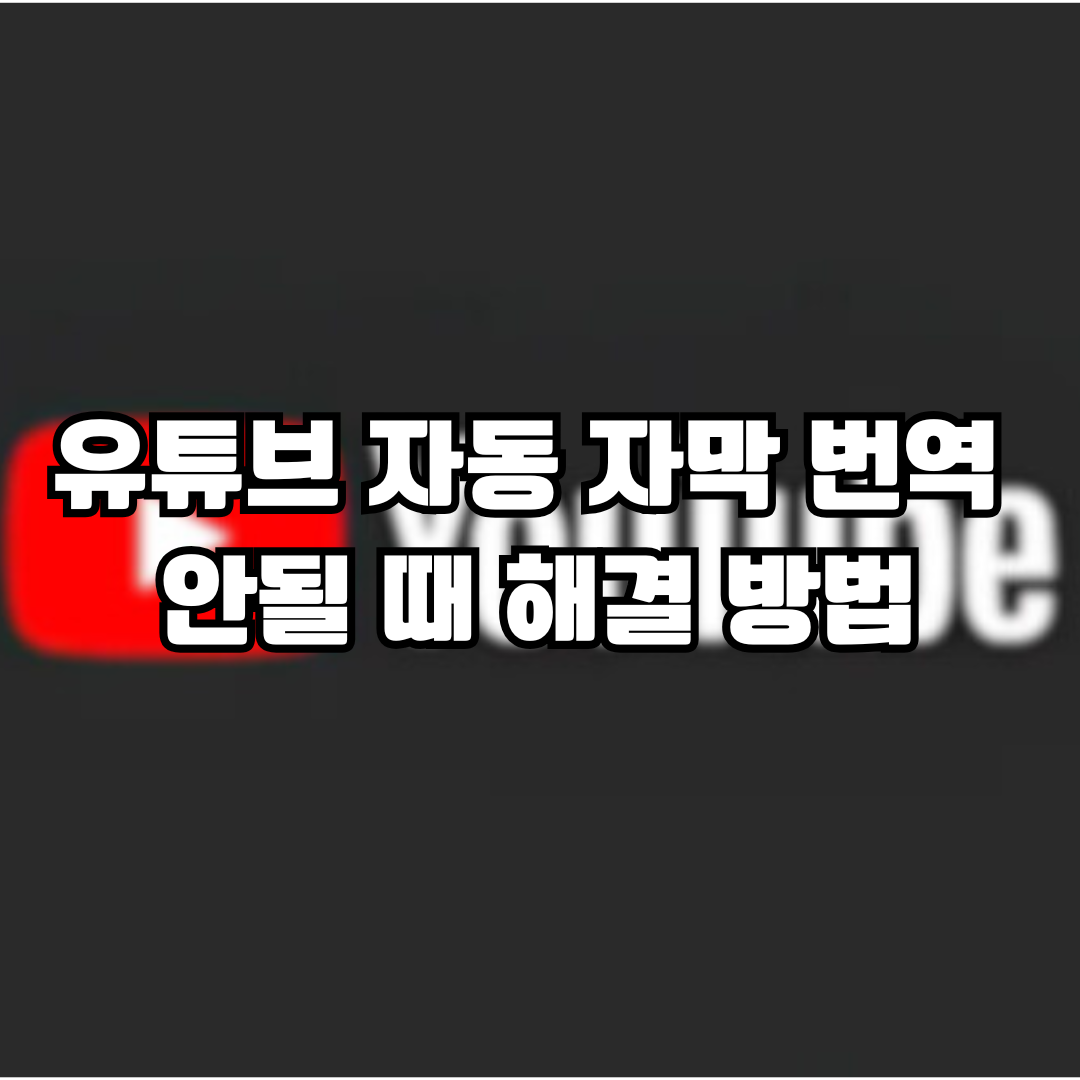 유튜브 자막 번역 해결법