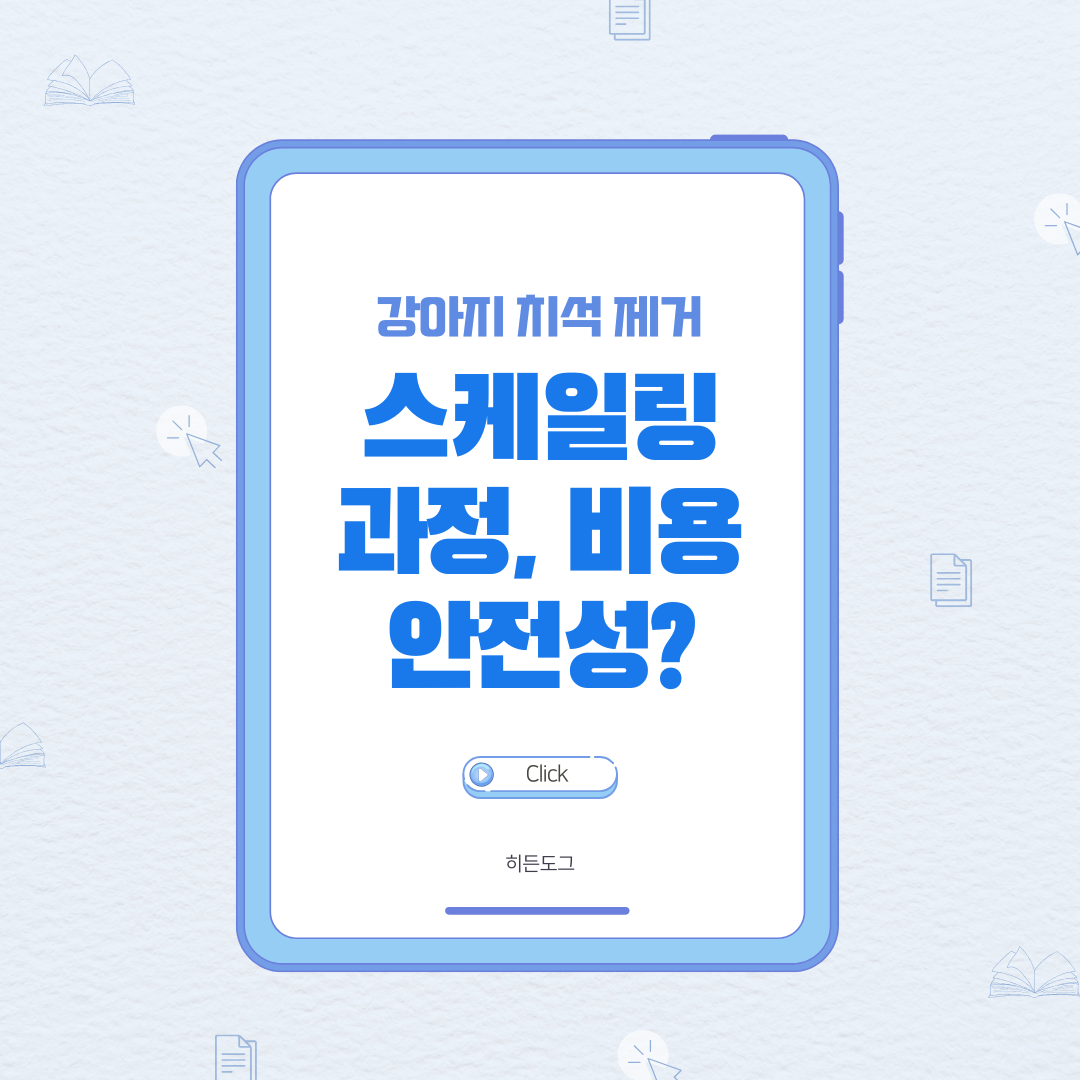 강아지 치석 제거 스케일링 과정 및 비용, 안전성?