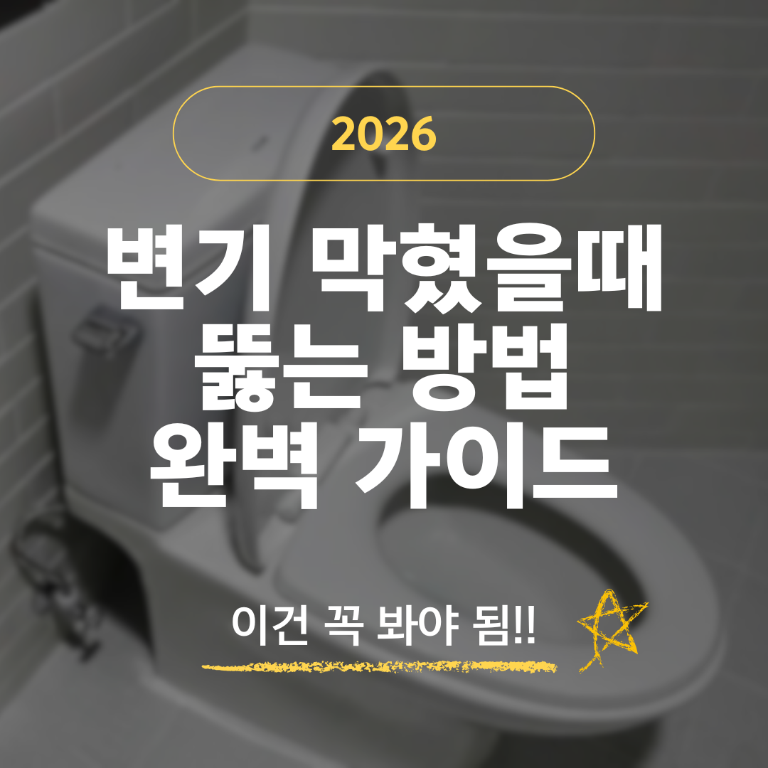 변기 막혔을때 뚫는 방법