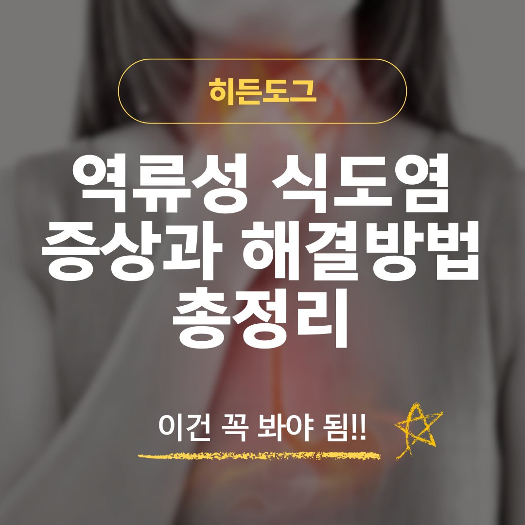 역류성 식도염 증상과 해결방법