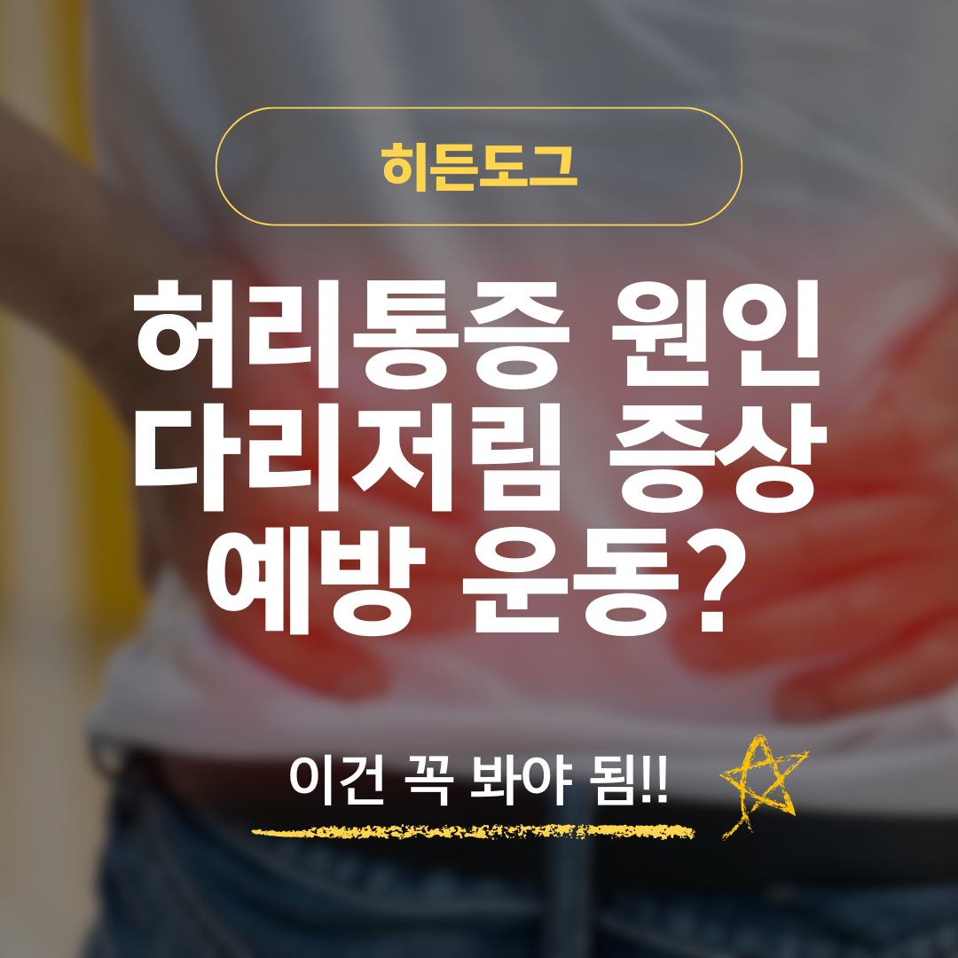 허리통증 원인 다리저림 증상 예방 운동 및 스트레칭