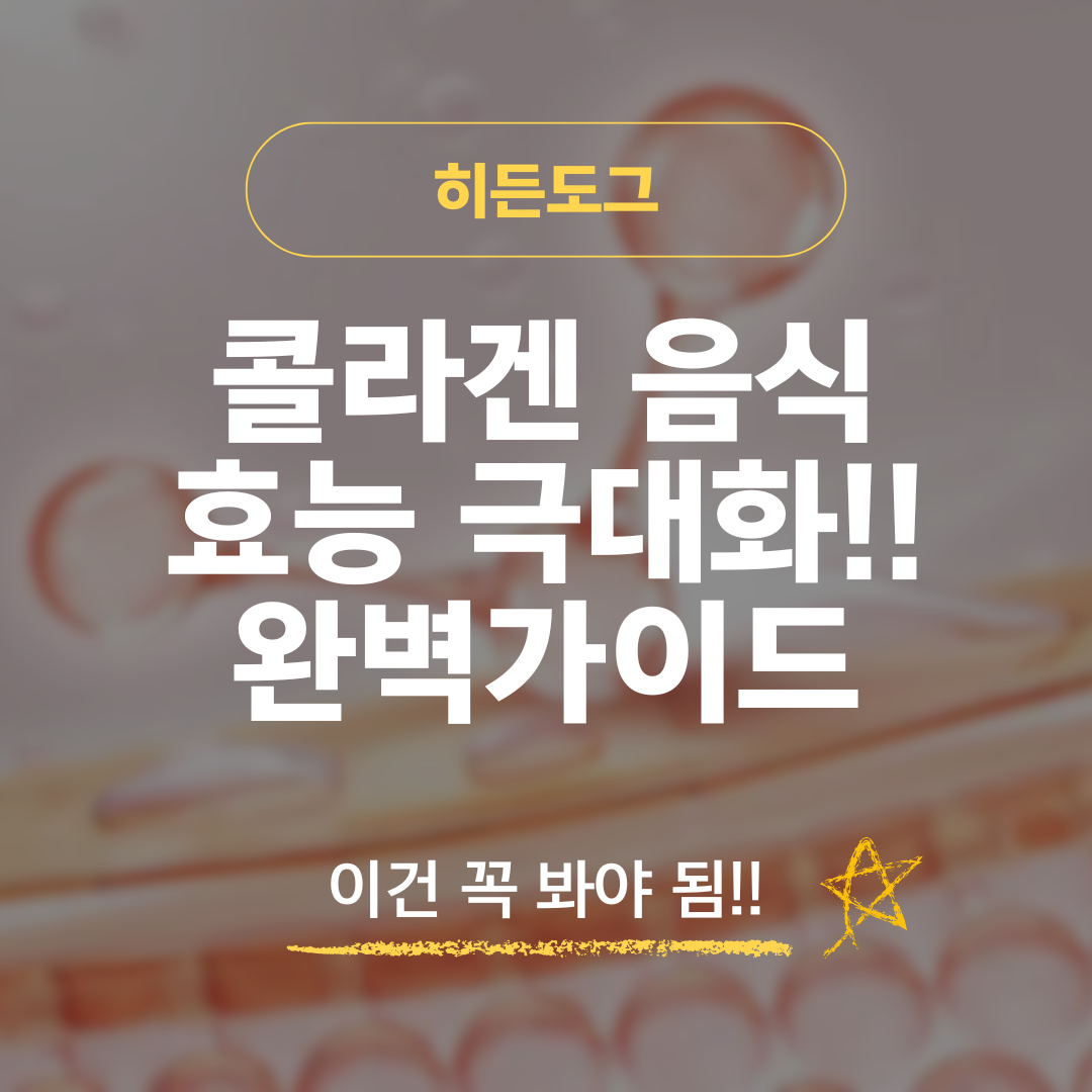 콜라겐 음식 효능 극대화 시키는 방법