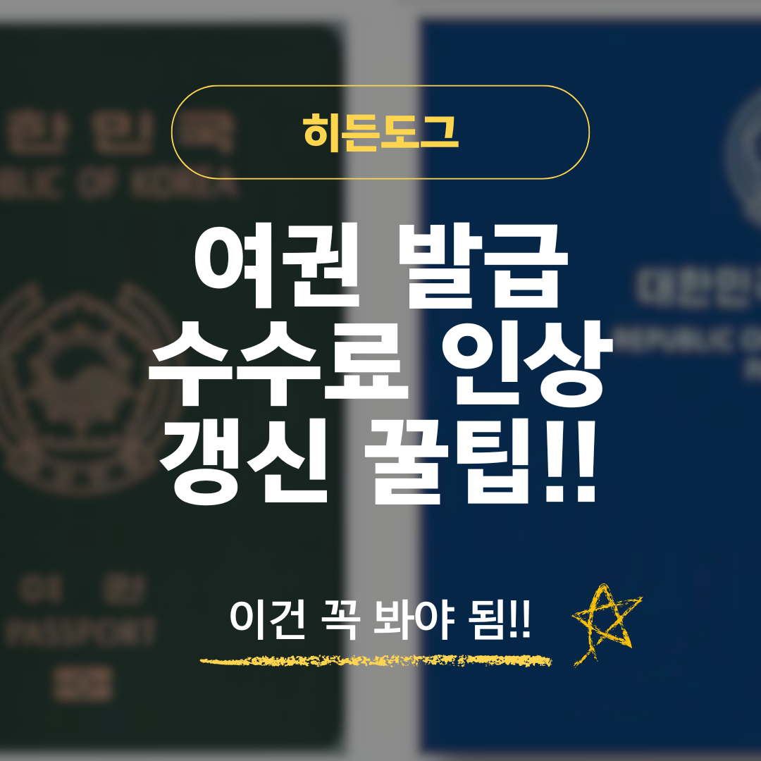 2026 여권 발급 수수료 인상 및 갱신 꿀팁
