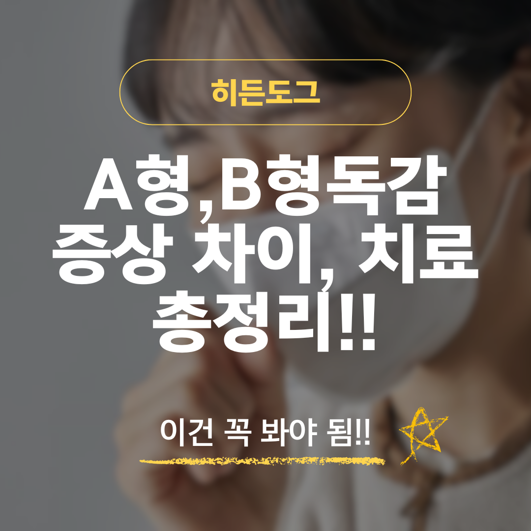 A형독감, B형독감 증상 차이 및 치료법