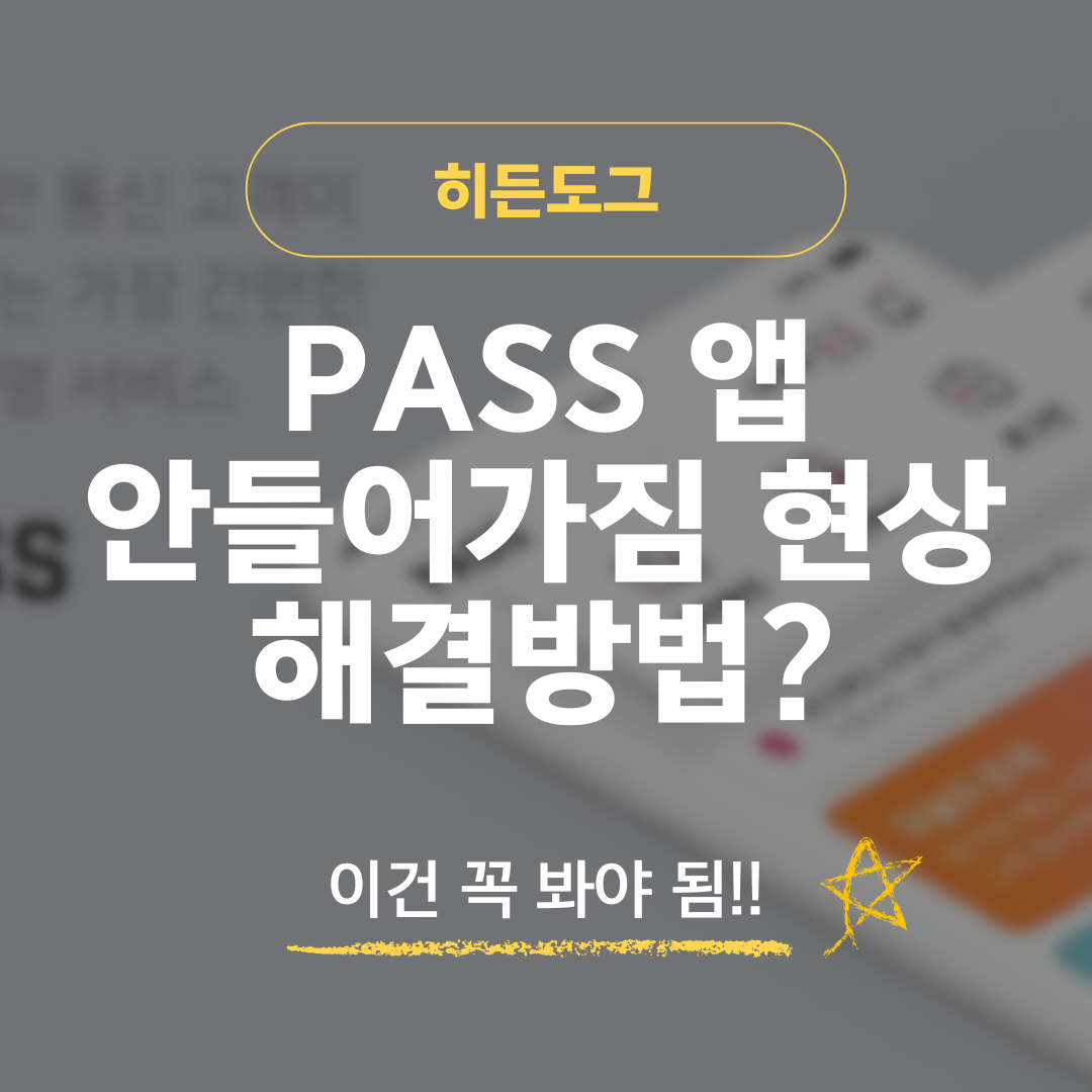 PASS 앱 안들어가짐 현상 해결 방법