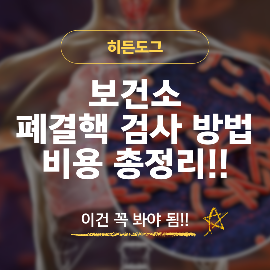 보건소 폐결핵 검사 방법 및 비용
