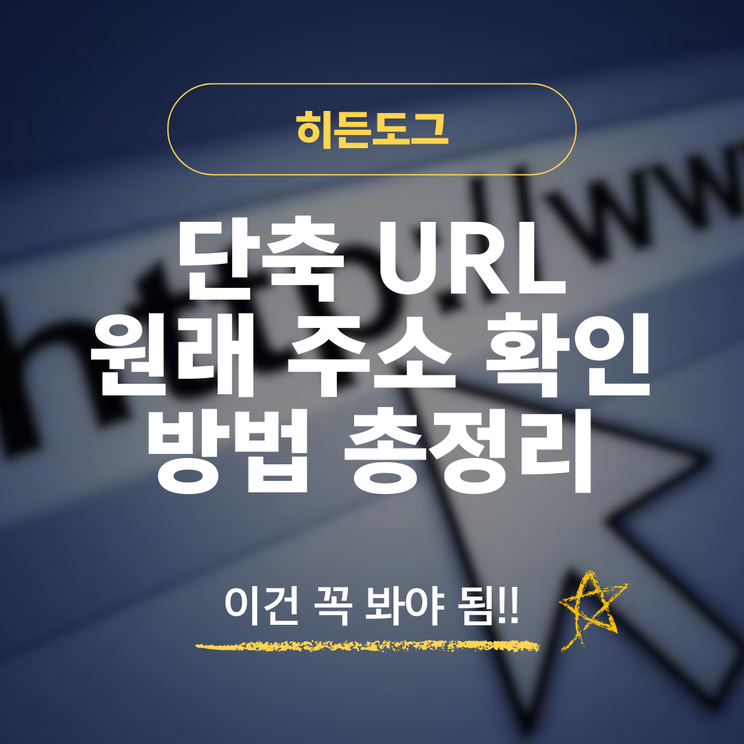 단축 URL 원래 주소 확인 방법
