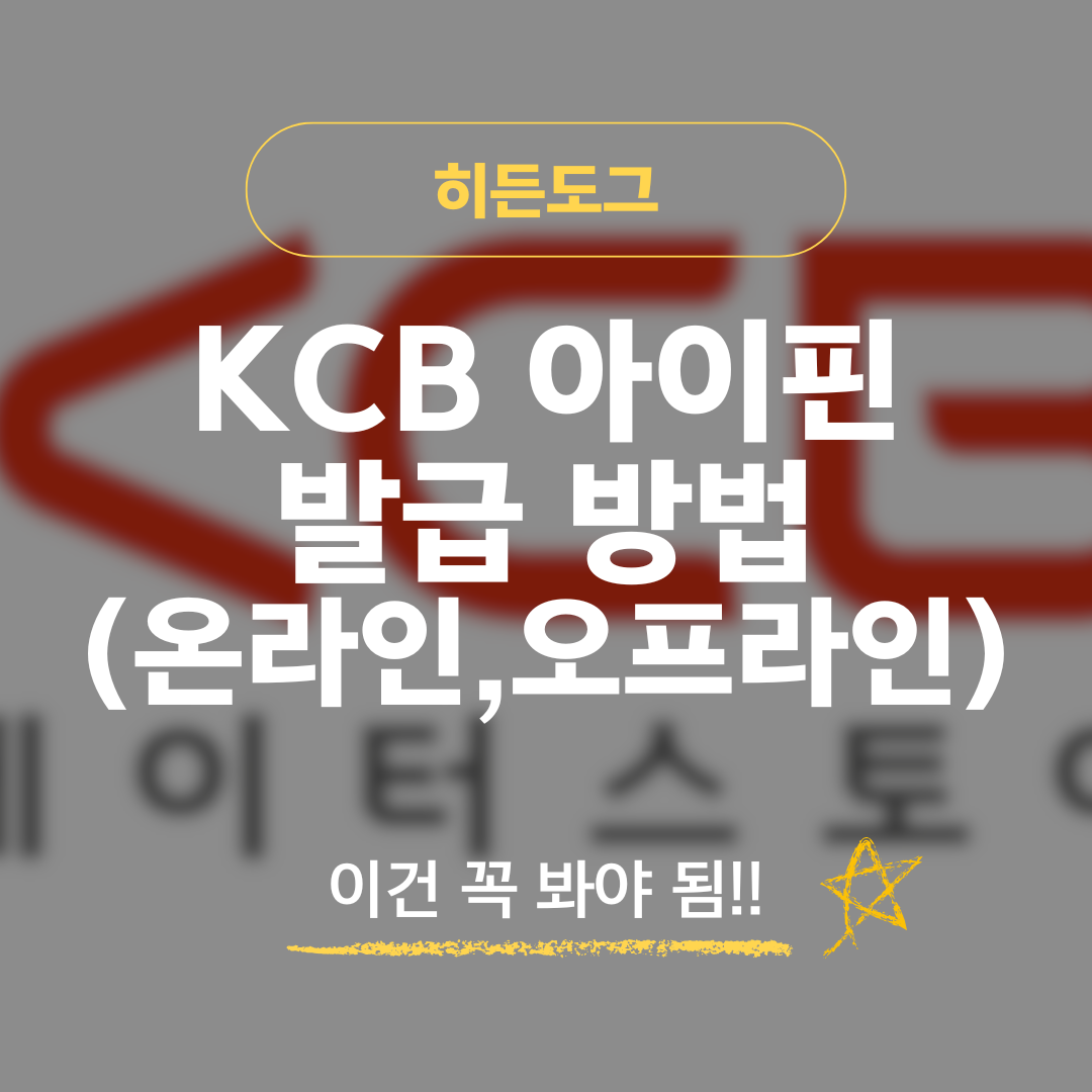 KCB 아이핀 발급 방법: 온라인, 오프라인