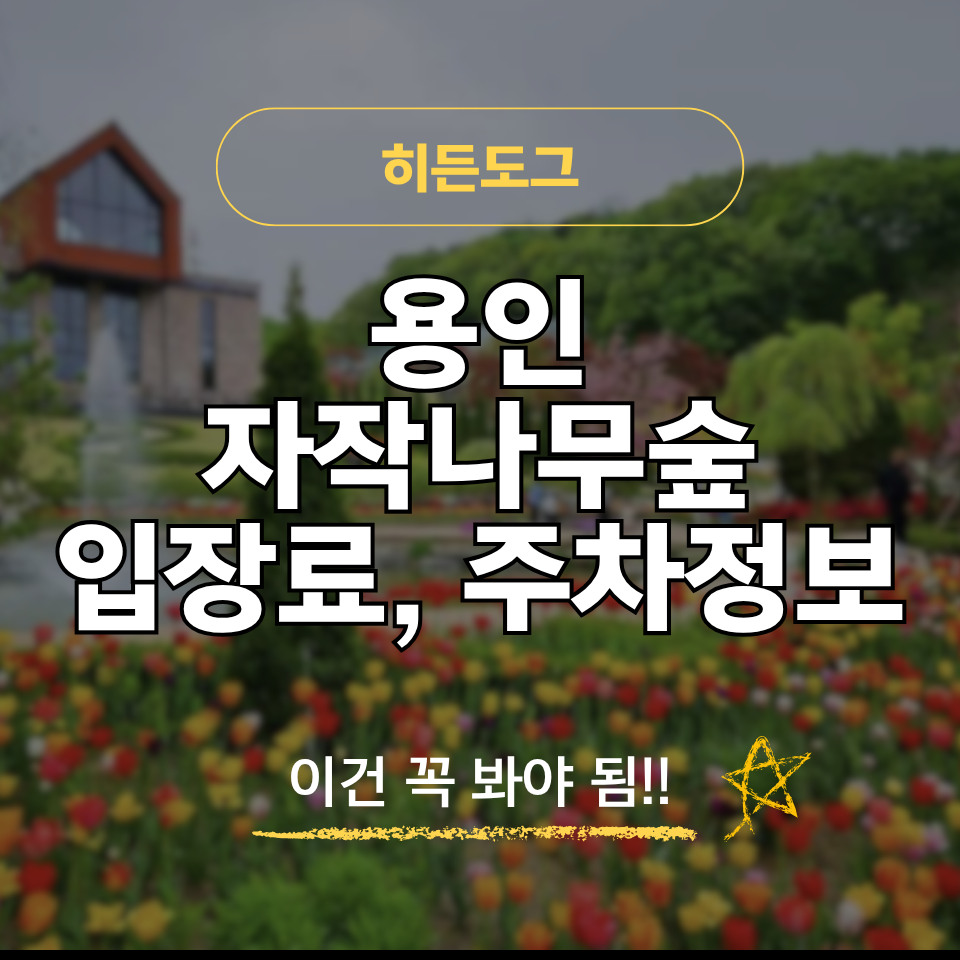 용인 자작나무숲 후기, 입장료 및 무료 주차, 애견동반 여부