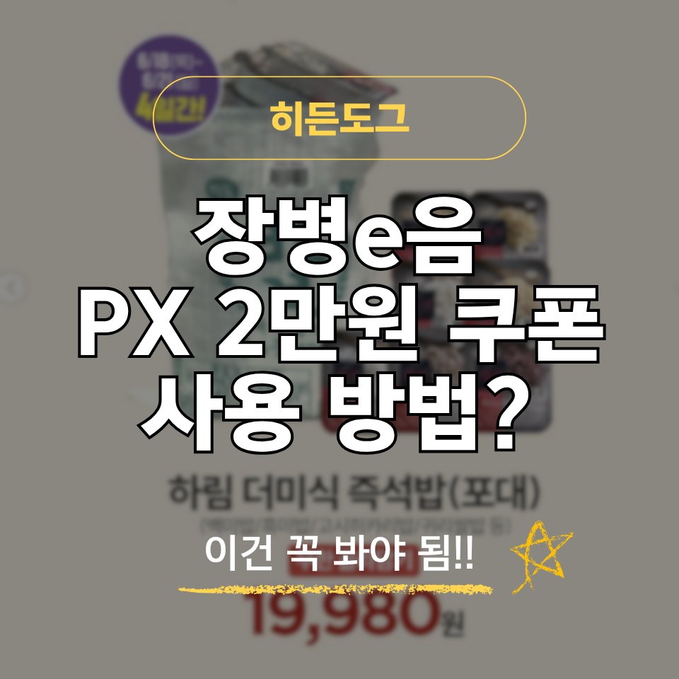 장병e음 PX 2만원 쿠폰 사용방법 총정리