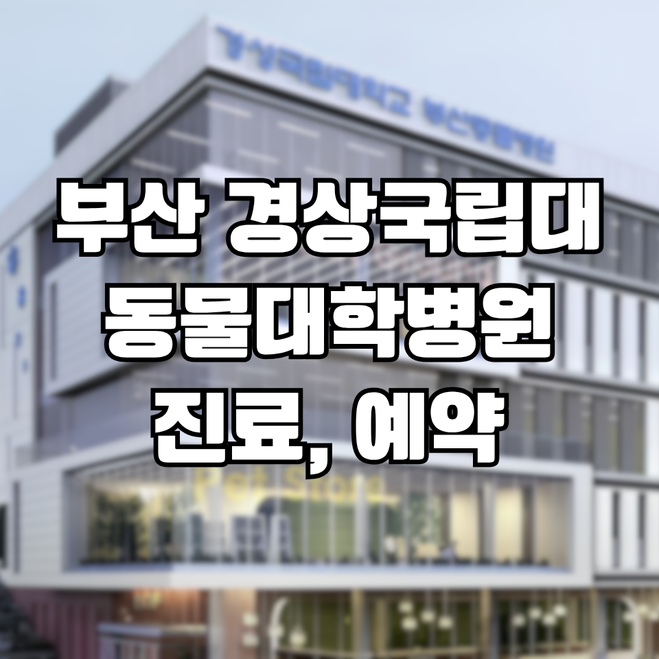 부산 경상국립대 대학동물병원 예약 방법 및 진료시간